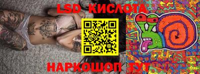 молекула духа Камышлов