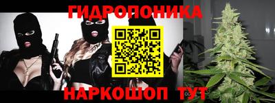 молекула духа Камышлов