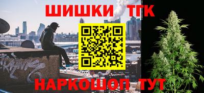 молекула духа Камышлов