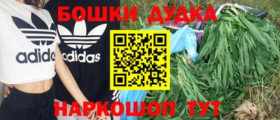 молекула духа Камышлов