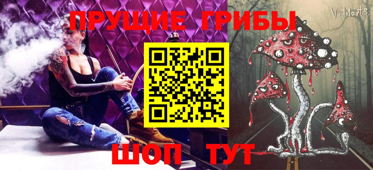 Псилоцибиновые грибы Psilocybe Волоколамск