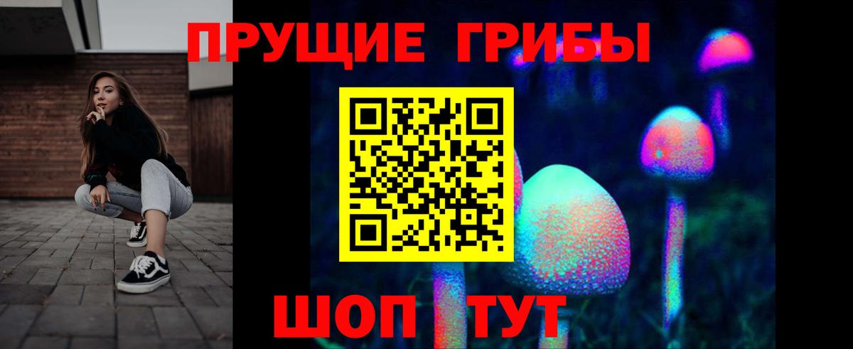 Псилоцибиновые грибы Psilocybe  Вход с VPN  Волоколамск 